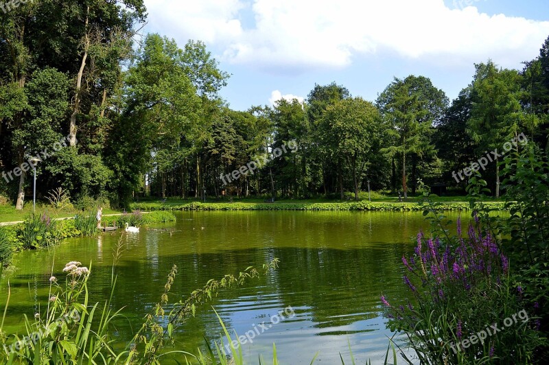 Landscape Lake Pond Nature Water