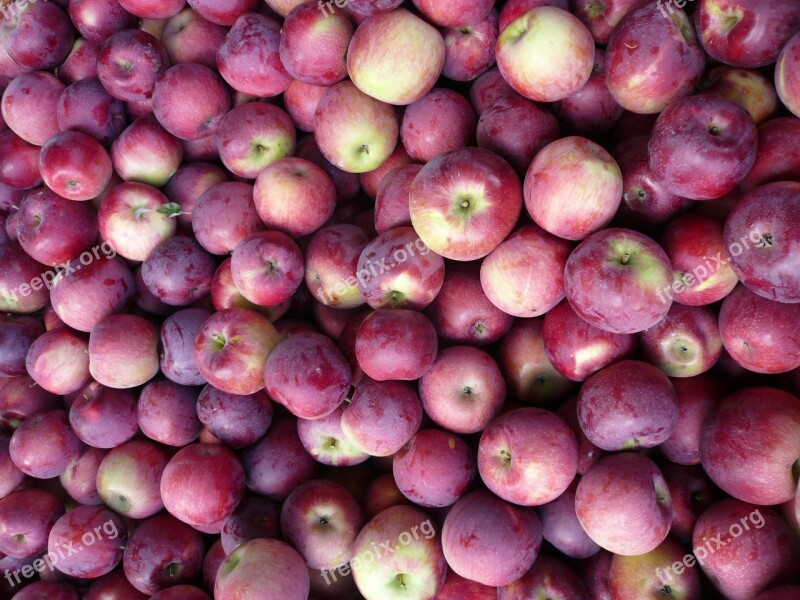 Groceries Apples Fresh Fruit Healthy Supermarket