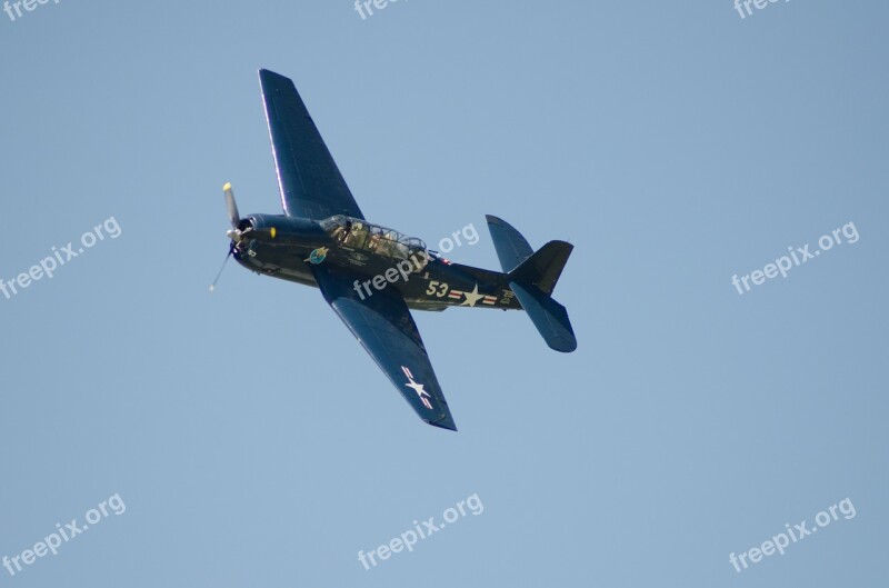 Warbird Propeller Airplane Aircraft Air