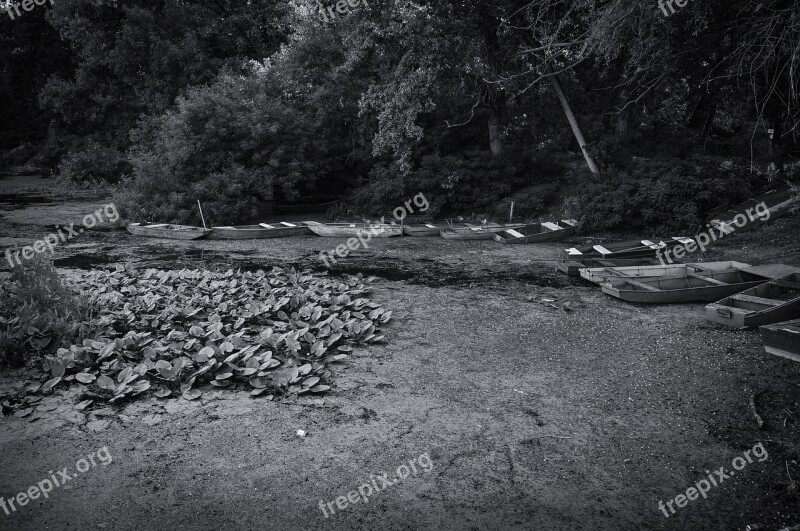 Boats Black And White Water Travel Tourism