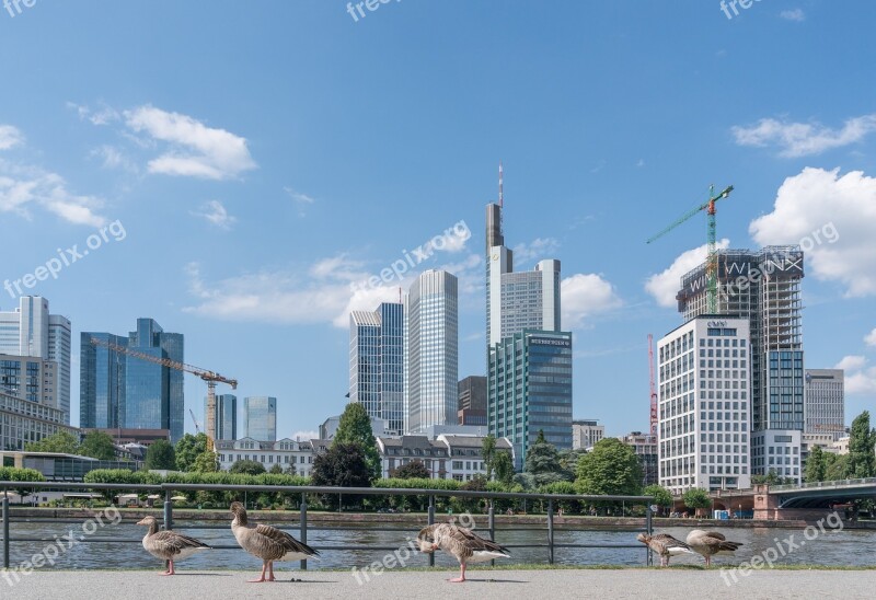 Frankfurt City Outlook Architecture Skyline