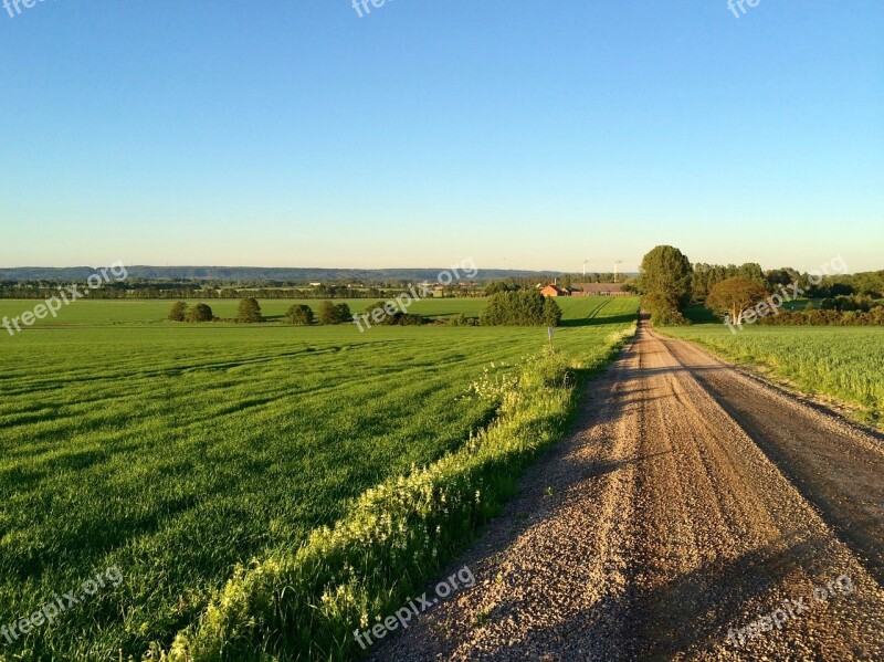 Summer Southern Sweden Bill Holm Sweden Road