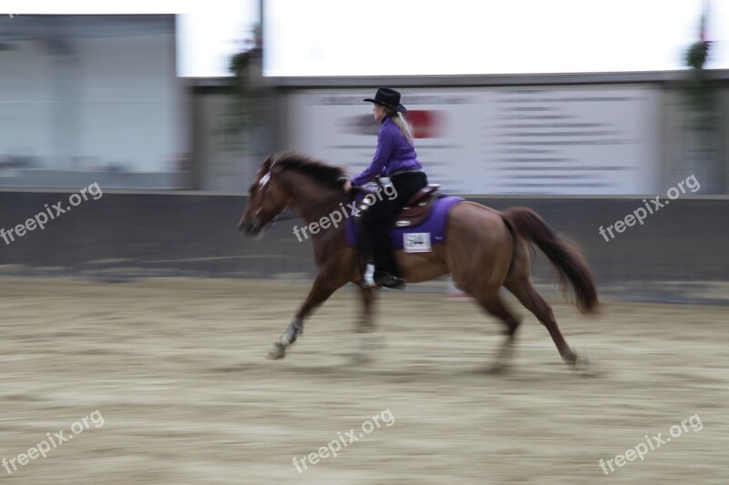 Ride Tournament Horse Reiter Equestrian