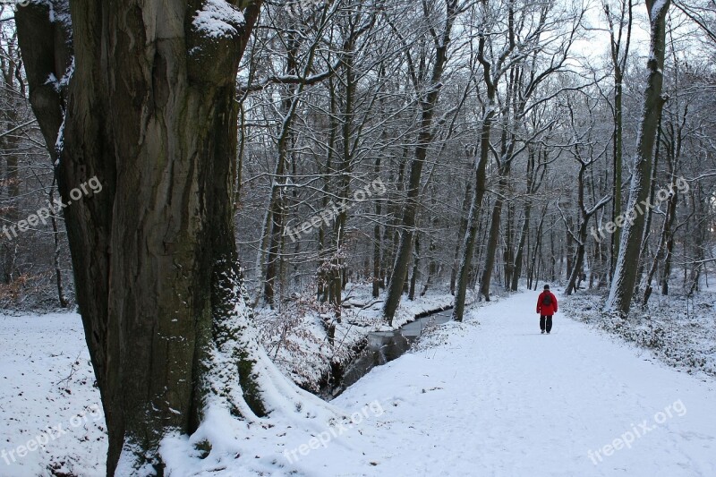 Winter Walkers Snow Walk Cold