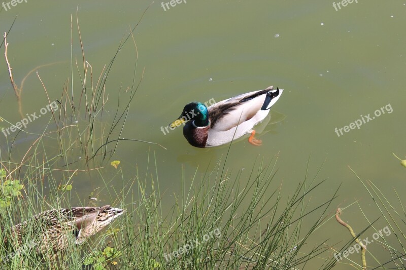 Duck Water Park Toulouse Blagnac