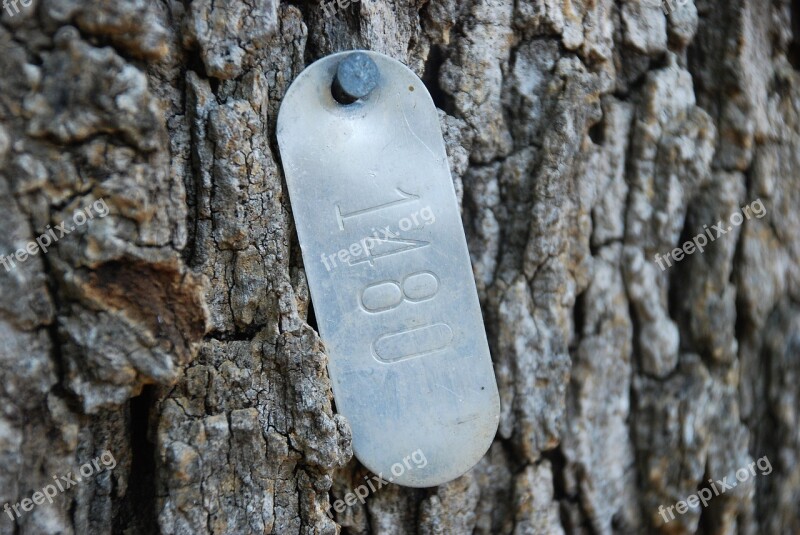 Tree Identification Tags Identification Tags Tree Tags Tag Identification