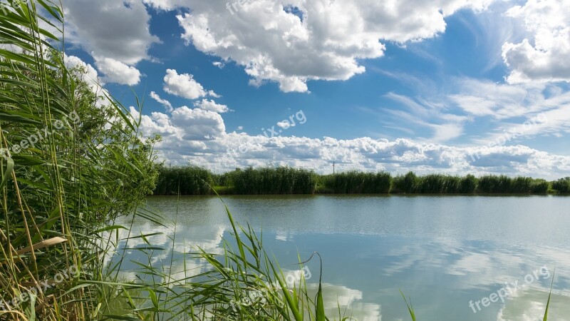 Fish Pond Nature Clouds Free Photos