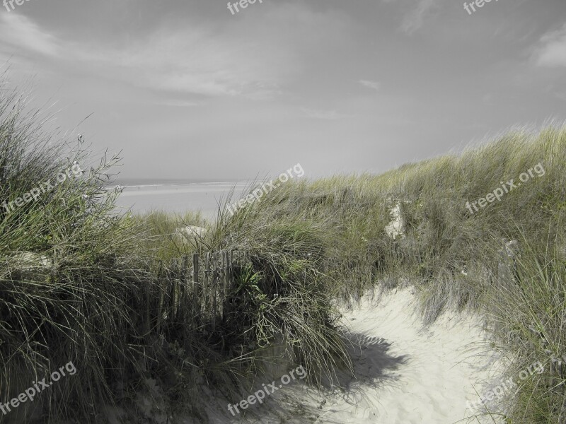 Brittany Beach Summer Finistère Free Photos