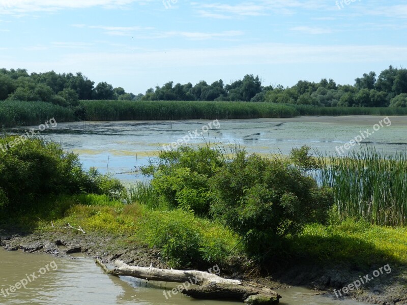 Danube Danube Delta Delta Tulcea South East Europe