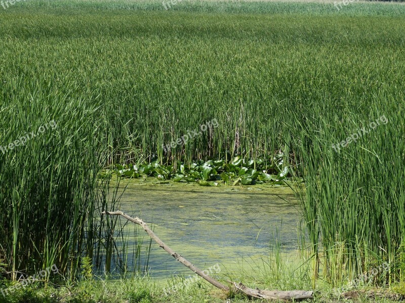 Danube Danube Delta Delta Tulcea South East Europe