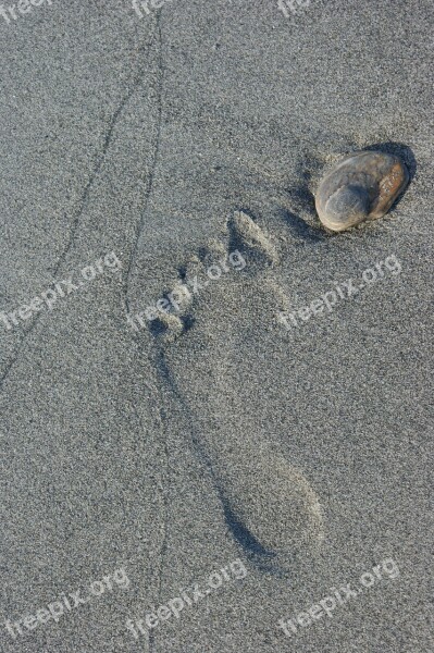 Footprint Sand Direction Free Photos