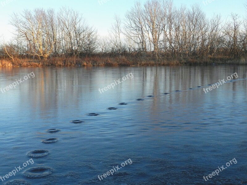 Lake Tracks Freezing Ice Late Autumn