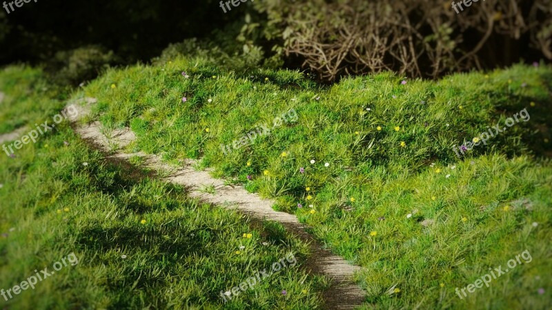 Mountain Grass 3d Path Sunset