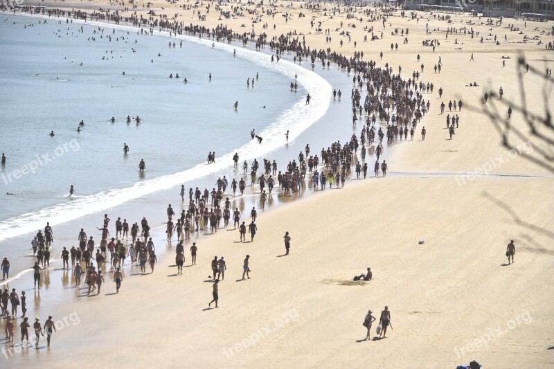 Shell Beach Sea Donostia Euskadi