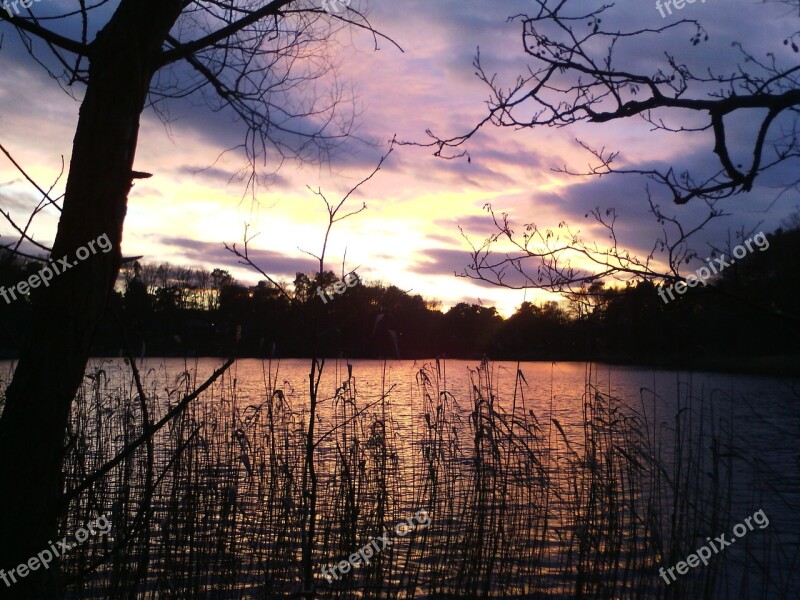 Lake Sky Nature Landscape Summer Evening