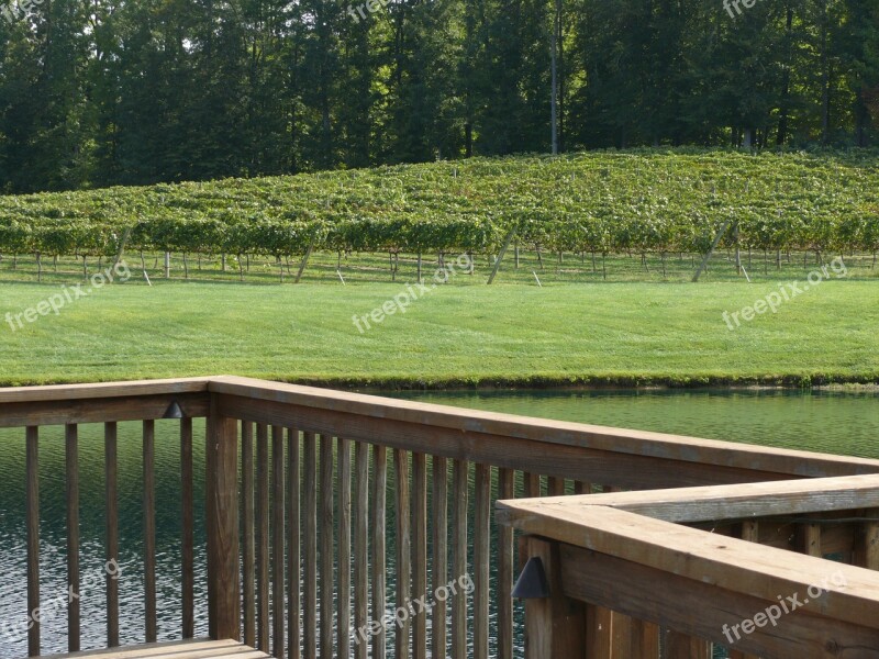 Winery Vineyard Deck Angles Wood