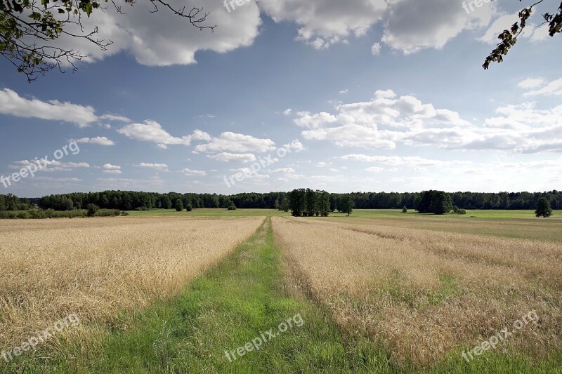 Dirt Road Fields Corn Agriculture Village