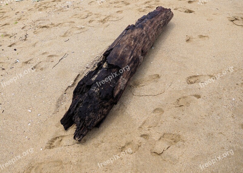 Beach Sand Sea Drift Wood Free Photos