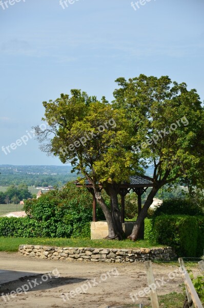 Bordeaux City Saint Emmilion Free Photos