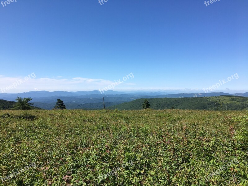 Grayson Highlands Virginia Meadow Free Photos