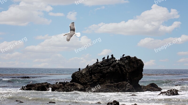 Beach Leo Carillo California Landscape Ocean