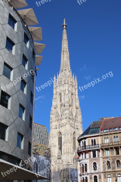 Vienna Dom Austria St Stephan's Cathedral Free Photos