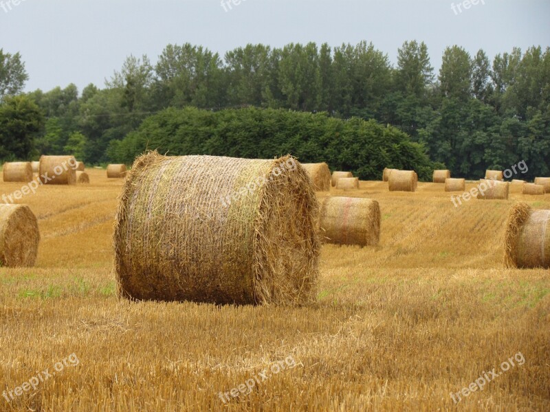 Straw Bale Arable Land Stubble Free Photos