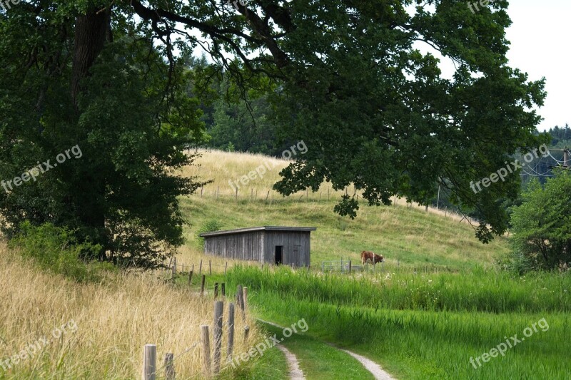 Away Meadow Pasture Lane Dirt Track