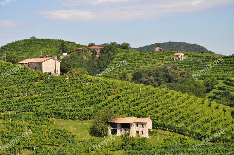 Wine Winery Italy Vineyard Prosecco