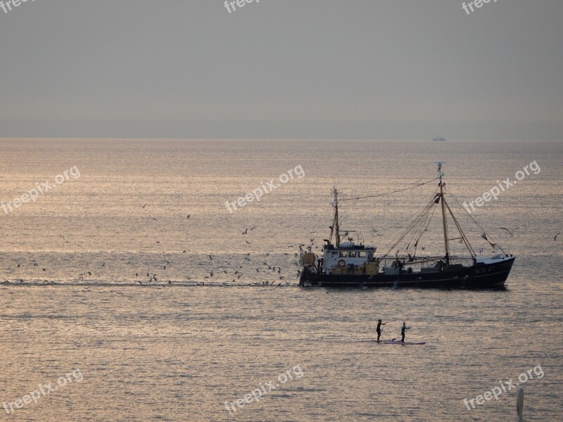 Fishing Boat Scheveningen Fish North Sea Free Photos