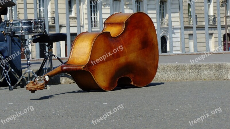 Musical Instrument Double Bass Road Instrument Stringed Instrument