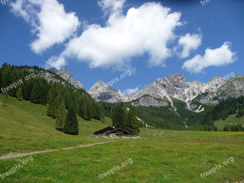 Alm Salzburger Land Mountain Hut Alpine Hut Nature