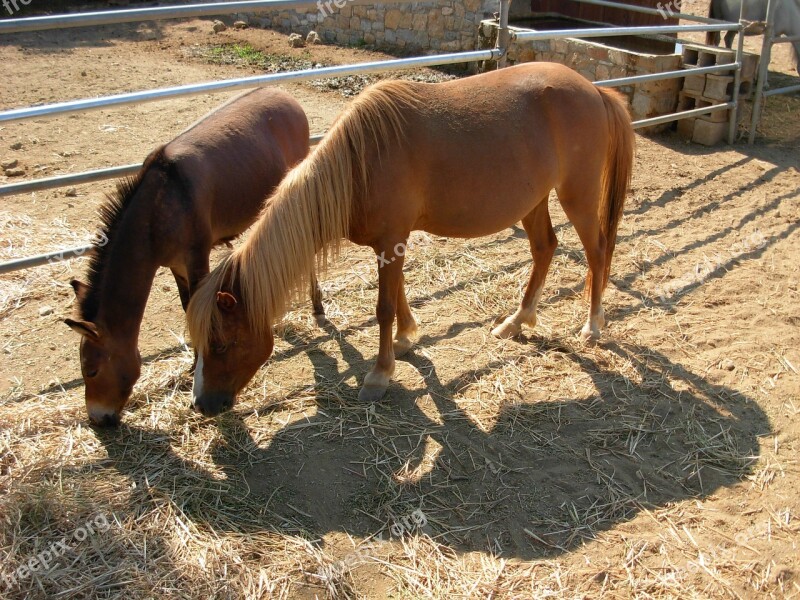 Skyros Evia Greece Free Photos