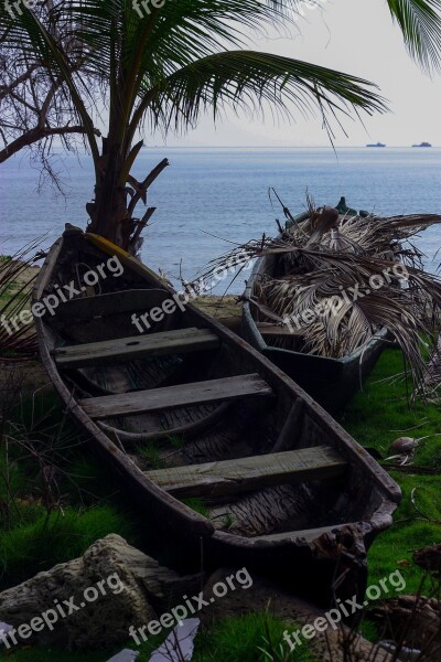 Canoe Water Sea Caribbean Palm Tree