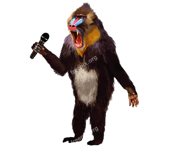 Baboon Microphone Monologue Free Photos