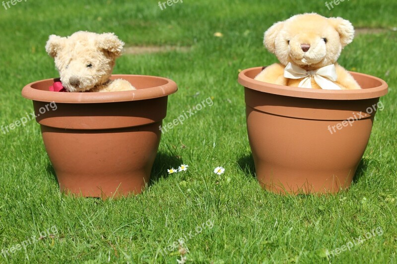 Teddy Bear Flowerpot Lawn Garden