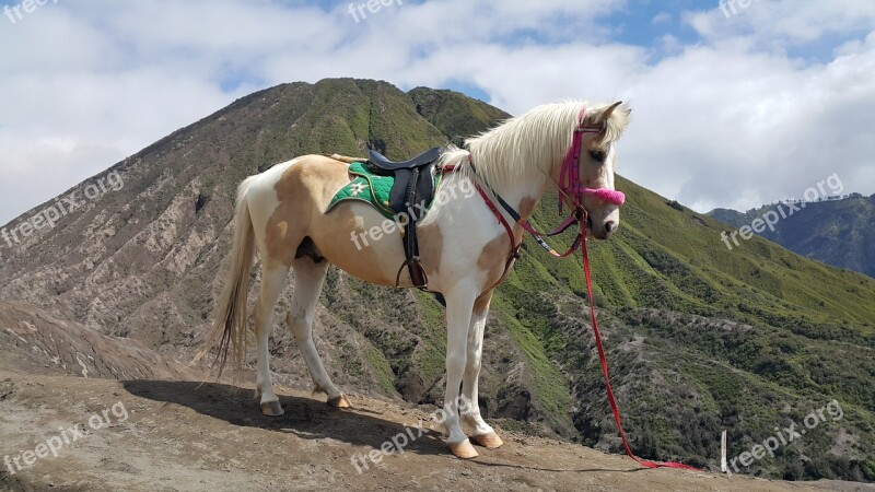 Mountain Bromo Indonesia Nature Java