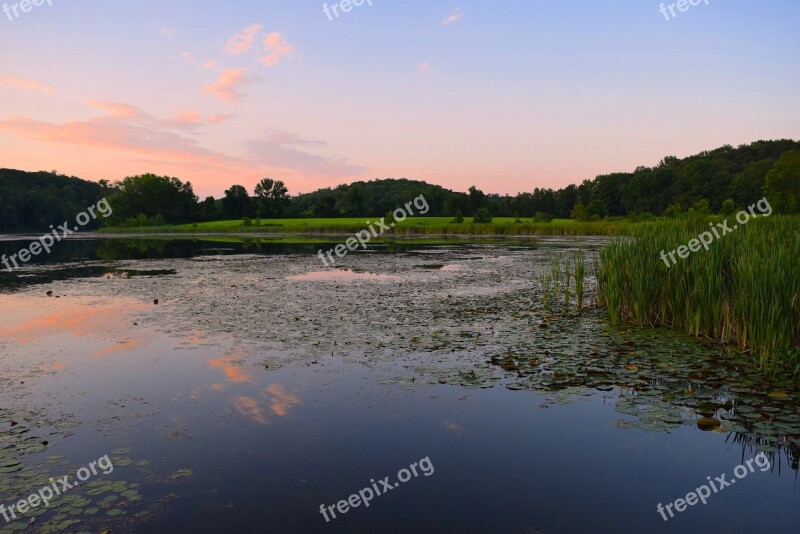 Sunset Pond Grass Reeds Swamp