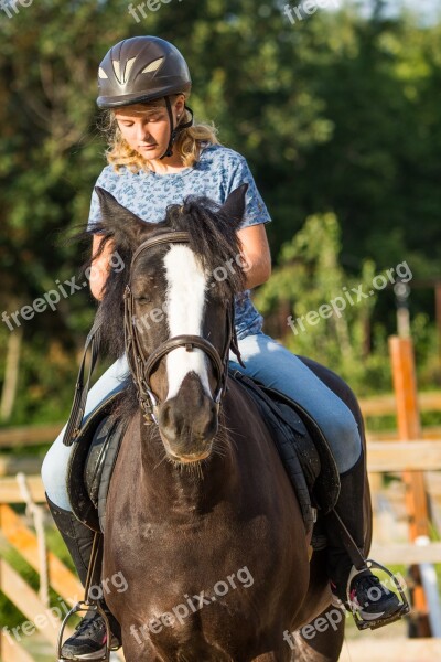 Horse Riding Horses Farm Riding Stallion