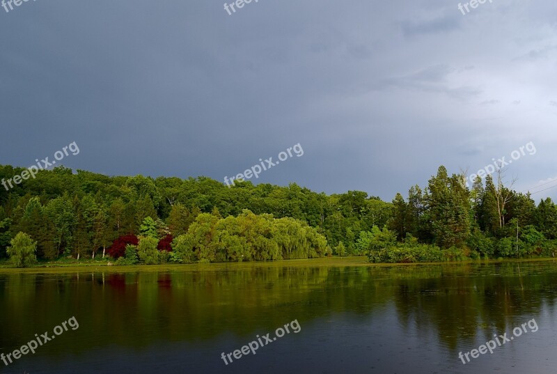 Trees Lake Water Landscape Nature