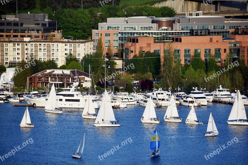 Sailing Boat Sailor Lake Water Blue