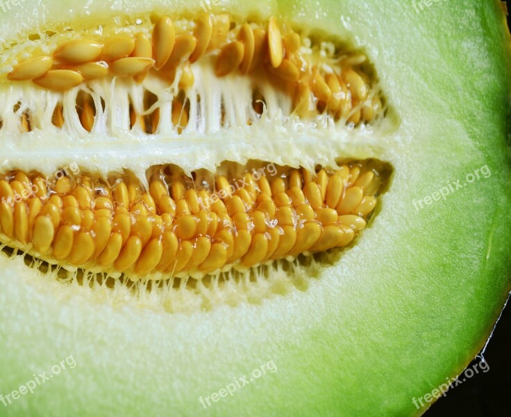 Core Melon Cantaloupe Muskmelon Fruit