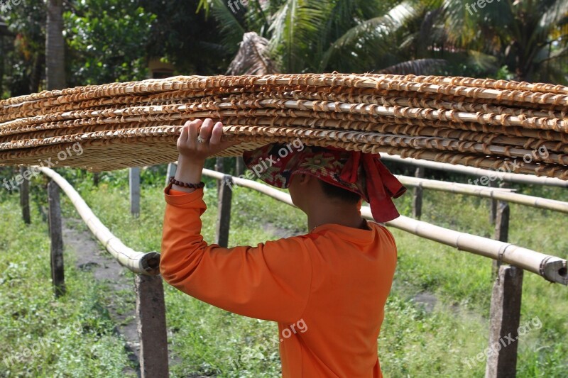 Carrier Vietnamese Viet Nam Man Person