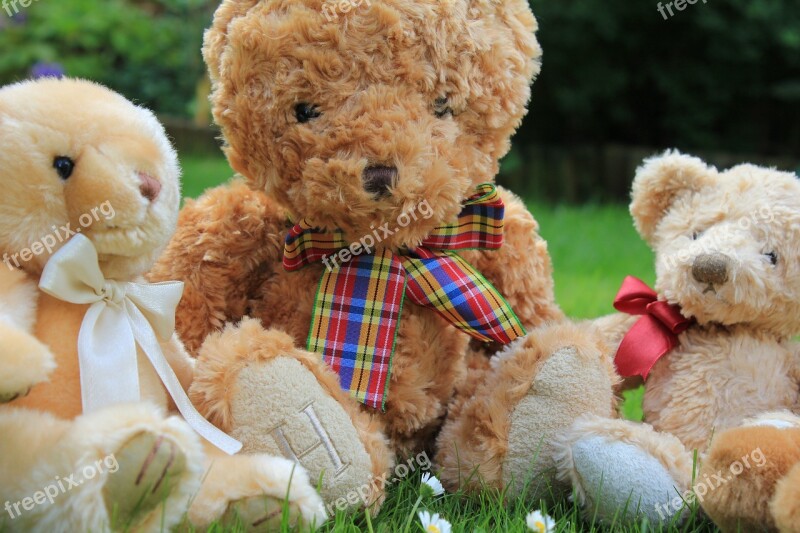 Teddy Bear Soft Toy Cute Fur