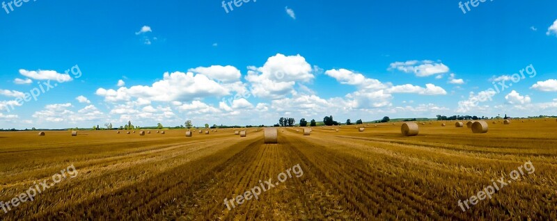 Straw Straw Bale Harvest Field Summer