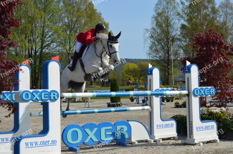 Showjumping Showjumper Equestrian Sport Competition