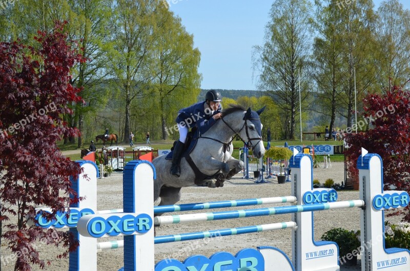 Showjumping Showjumper Equestrian Sport Competition