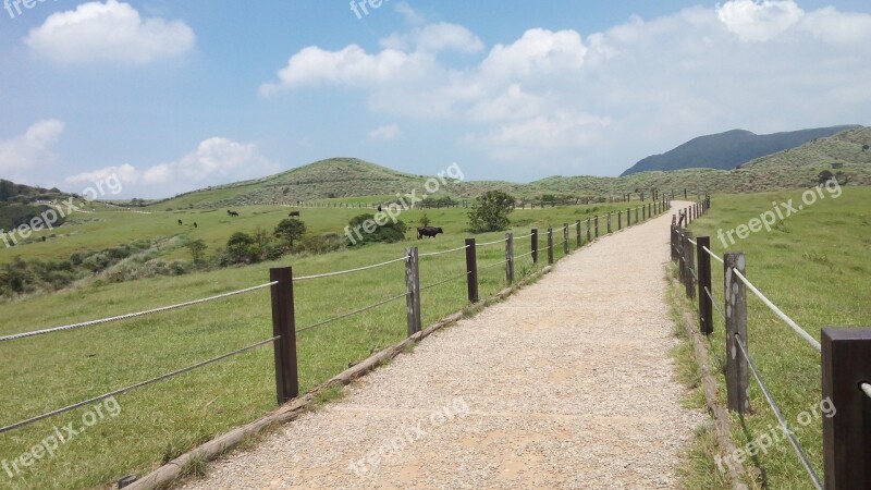 Road Field Fences Free Photos