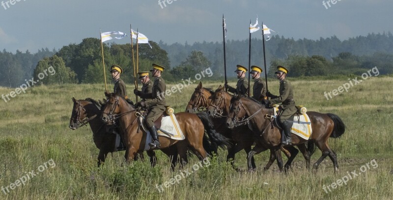 Horses Cavalry Soldier Bridle Bay