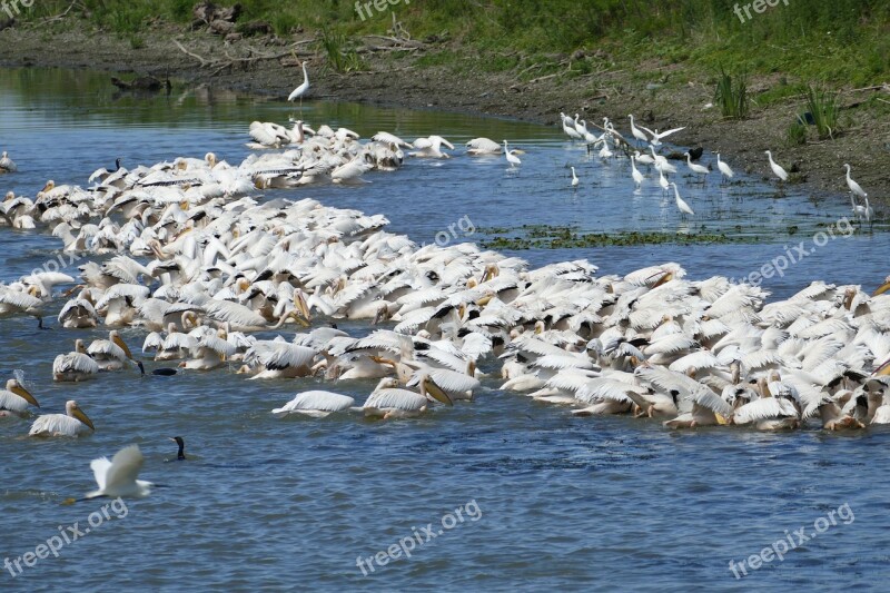 Romania Danube Danube Cruise South East Europe Delta